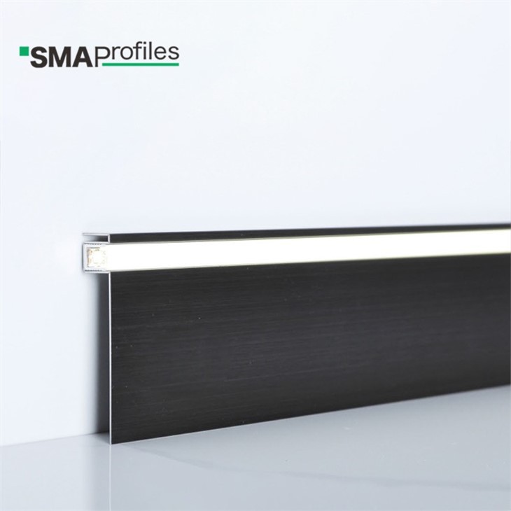 SLE876